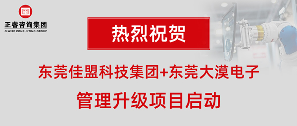 東莞市佳盟科技+東莞市大漠電子管理升級項目啟動 東莞市佳盟科技+東莞市大漠電子管理升級項目啟動