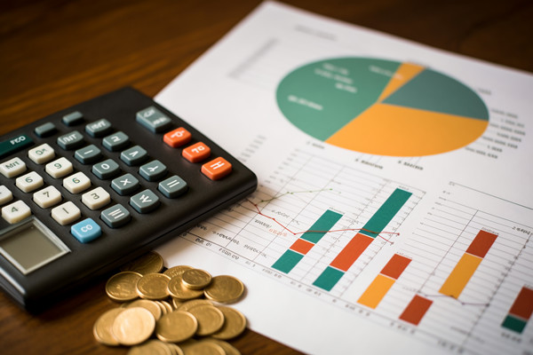 強(qiáng)化集團(tuán)管控：財(cái)務(wù)，人力資源，信息技術(shù)的整合